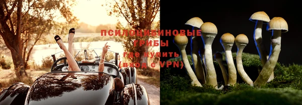 стафф Балабаново